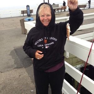 Meet your Posher, Nancy